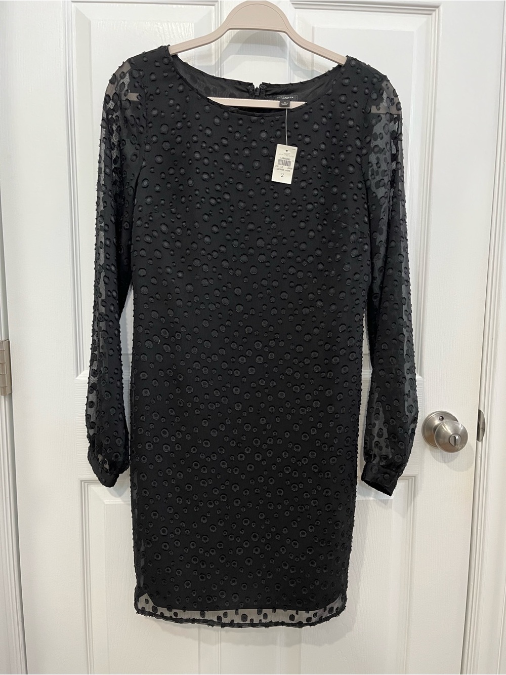 Ann Taylor black dot dress, long sheer sleeves, 2, NWT.